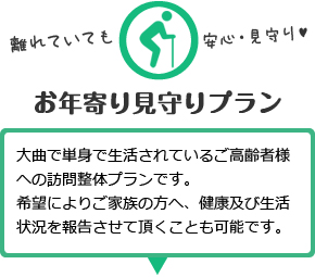 大曲で単身で生活されているご高齢者様への訪問整体プランです。